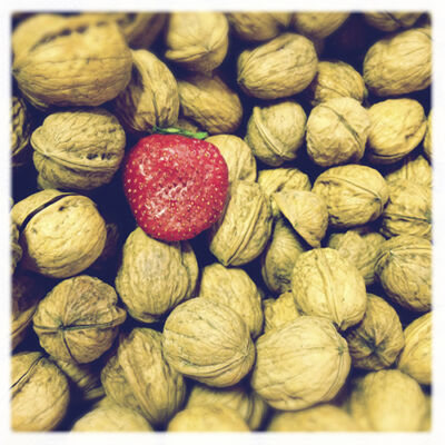 Snapshot von Marco Kolditz (Lomografie App Hipstamatic)