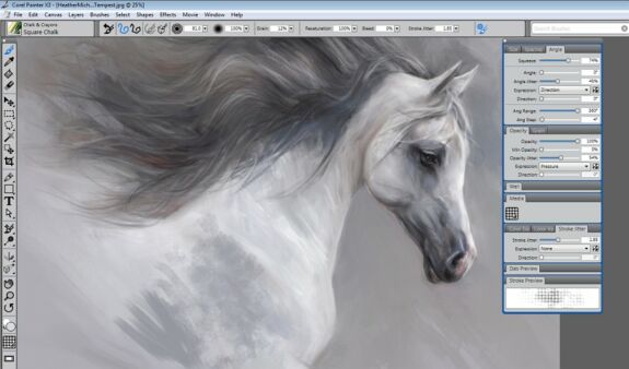 Corel Painter X3, Screenshot