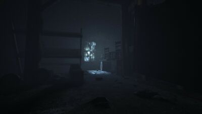 Outlast - Whistleblower DLC, Screenshot