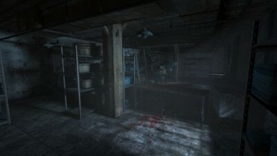 Outlast - Whistleblower DLC, Screenshot