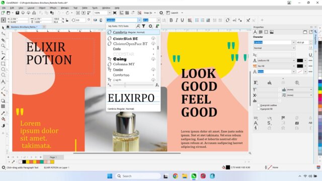 CorelDRAW Graphics Suite 2024 (Screenshot)