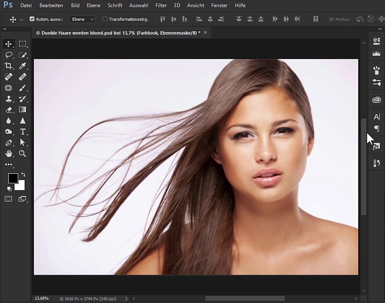 Dunkle Haare werden Blond (Vorher/Nachher)